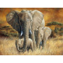 Diamond Painting - Broderie Diamant - 3 éléphants savane