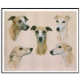 Diamond Painting - Broderie Diamant - 5 whippets