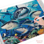 Diamond Painting - Broderie Diamant - requin et phoques