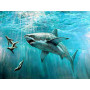 Diamond Painting - Broderie Diamant - requin et phoques