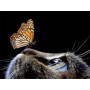 Diamond Painting - Diamant Painting Rencontre Poétique Chat Papillon Fauve