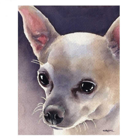 Haft diamentowy - Haft Diamentowy - Chihuahua