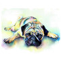 Diamond Painting - Broderie Diamant - Bulldog par terre