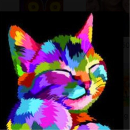 Diamond Painting - Diamond Painting Chat Funk Éclatant de Couleurs Vives