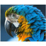 Haft diamentowy - Haft diamentowy - papuga niebieski zielony  ó ty