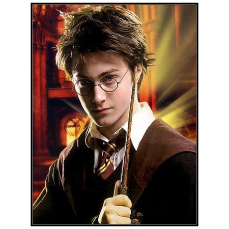 Diamond Painting - Broderie diamant Harry Potter - Le sorcier prêt à l'action