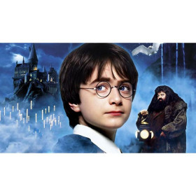 Diamond Painting - Diamond Painting Harry Potter - Le monde magique prend vie