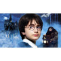 Diamond Painting - Diamond Painting Harry Potter - Le monde magique prend vie