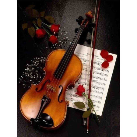 Diamond Painting - Broderie Diamant - Violon Roses Rouge