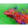 Diamond Painting - Broderie Diamant - Caméléon 3D Série C