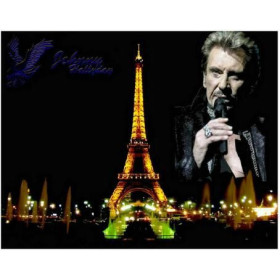 Diamond Painting - Broderie Diamant Johnny Hallyday Série K