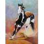 Diamond Painting - Broderie Diamant -Cheval Galopin