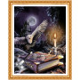 Diamond Painting - Broderie diamant diamant painting Harry Potter, la magie des connaissances