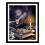 Diamond Painting - Broderie diamant diamant painting Harry Potter, la magie des connaissances