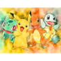 Diamond Painting Pokémon serii D